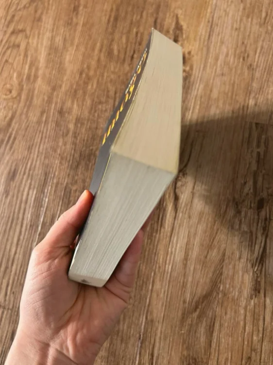 Jugendbuch "Imago" von Isabel Abedi, Softcover 4